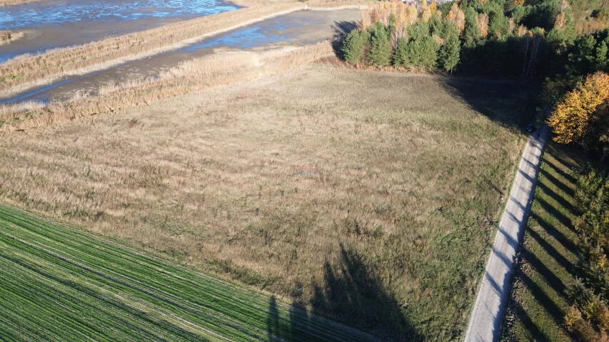 Działka 14 677,00 m², oferta nr , 20242, Kolonia Jurki