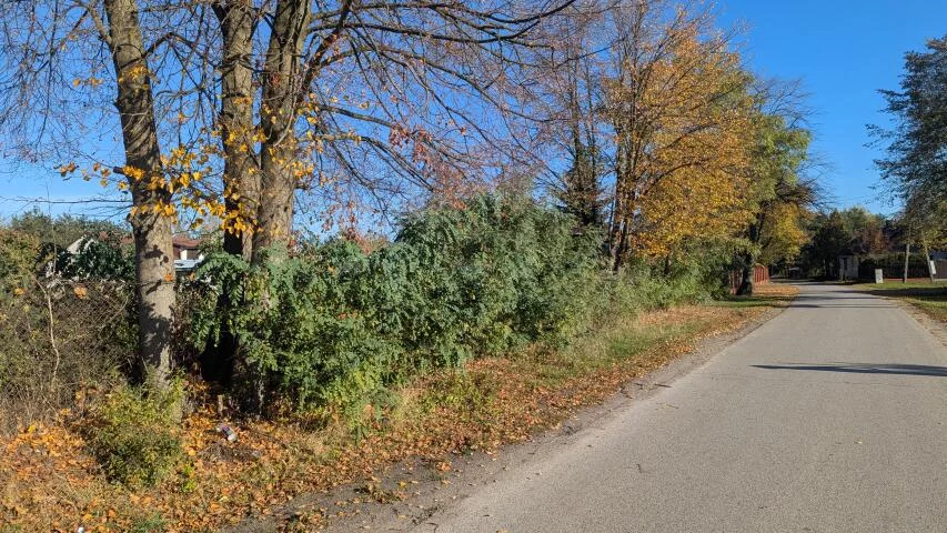 Działka 881,00 m², oferta nr , 20324, Kotorydz