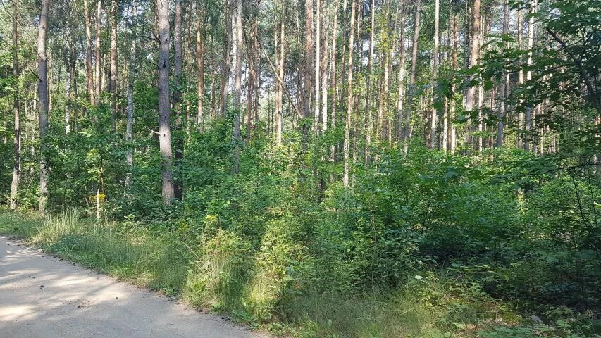 Działka 3 055,00 m², oferta nr , 19859, Mirowice
