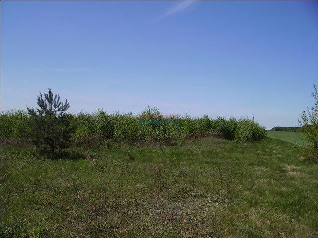 Działka 1 311,00 m², oferta nr , 19813, Prażmów