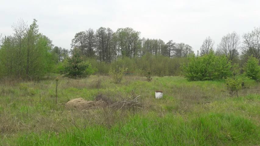 Działka 34 170,00 m², oferta nr , 19113, Solec