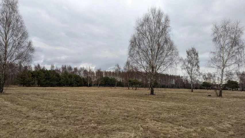 Działka 26 618,00 m², oferta nr , 19922, Tarczyn