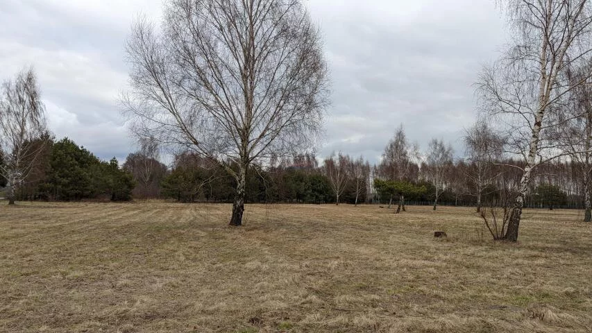 Działka 26 618,00 m², oferta nr , 19922, Tarczyn