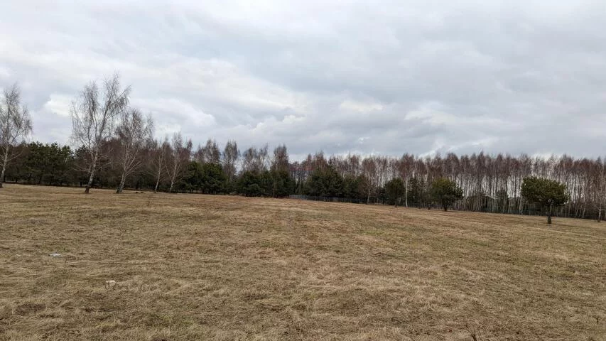 Działka 26 618,00 m², oferta nr , 19922, Tarczyn