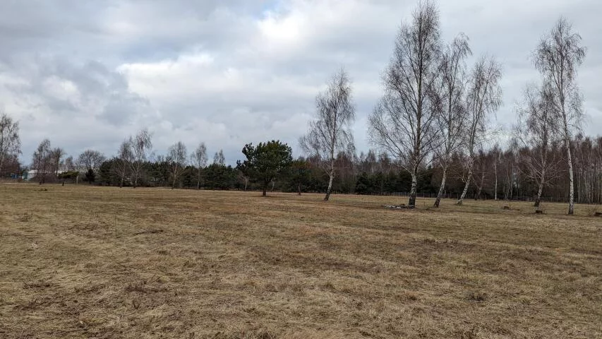 Działka 26 618,00 m², oferta nr , 19922, Tarczyn