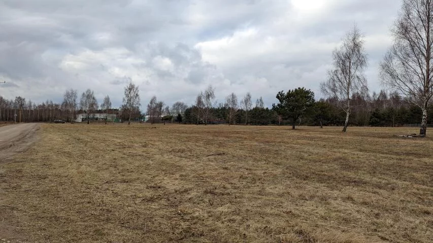 Działka 26 618,00 m², oferta nr , 19922, Tarczyn