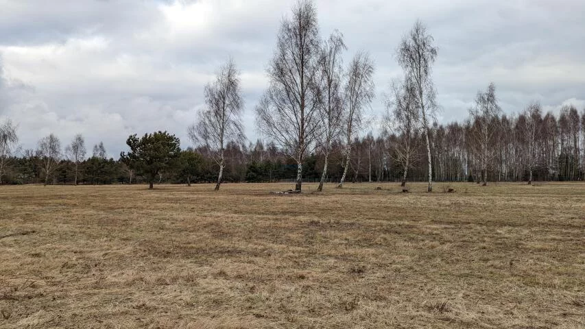 Działka 26 618,00 m², oferta nr , 19922, Tarczyn