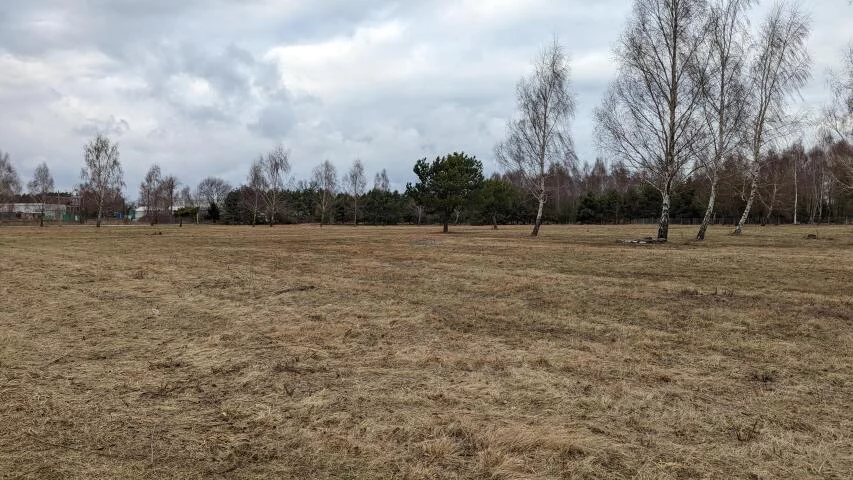 Działka 26 618,00 m², oferta nr , 19922, Tarczyn