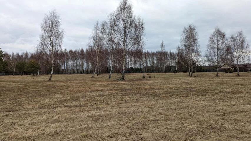 Działka 26 618,00 m², oferta nr , 19922, Tarczyn