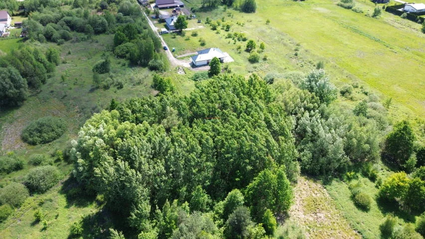 20293 - zdjęcie nr 2