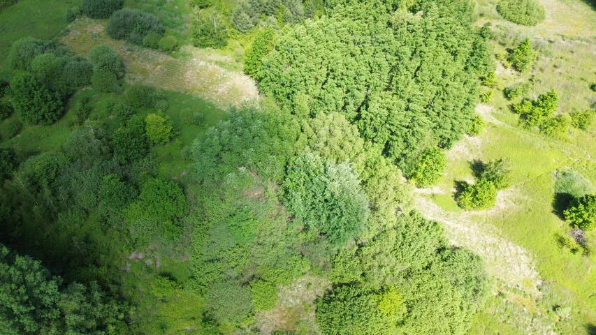 Działka 1 355,00 m², oferta nr , 20293, Tomice
