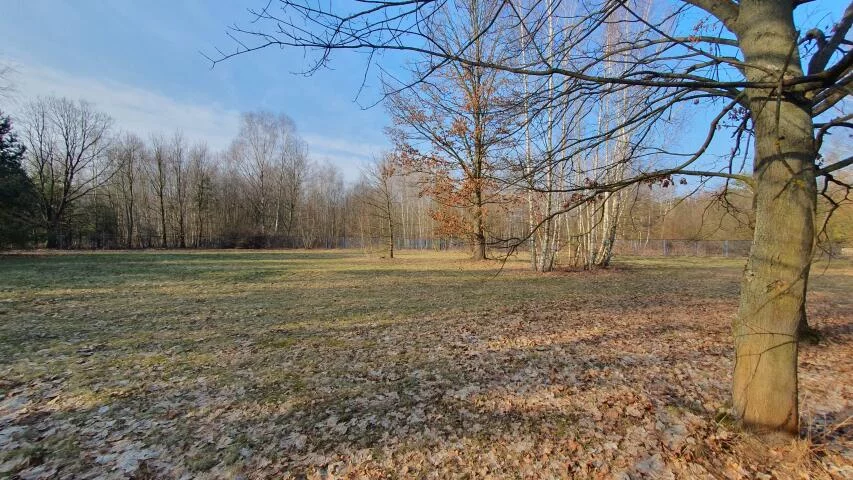 Działka 5 995,00 m², oferta nr , 20277, Ustanów