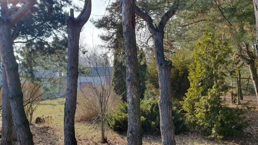 Działka 5 995,00 m², oferta nr , 20277, Ustanów