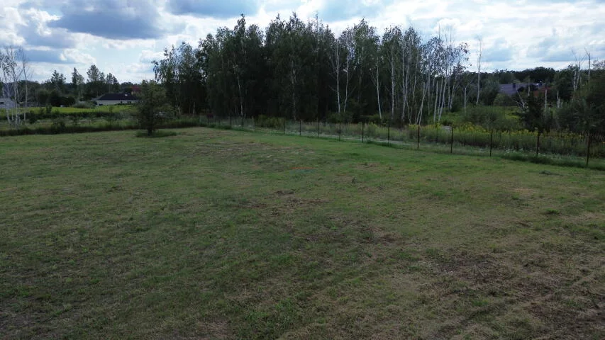 20302 - zdjęcie nr 2