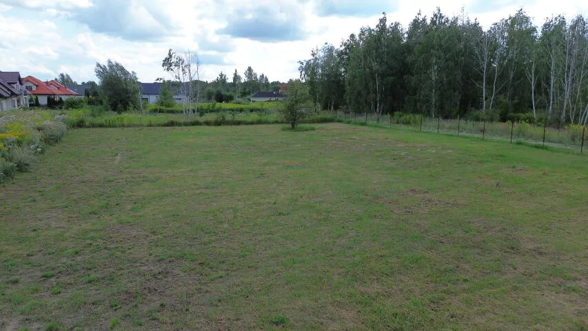 20302 - zdjęcie nr 3