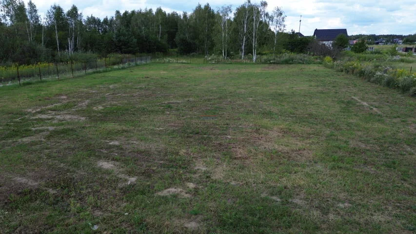 20302 - zdjęcie nr 4