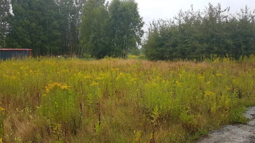 Działka 1 298,00 m², oferta nr , 19869, Uwieliny