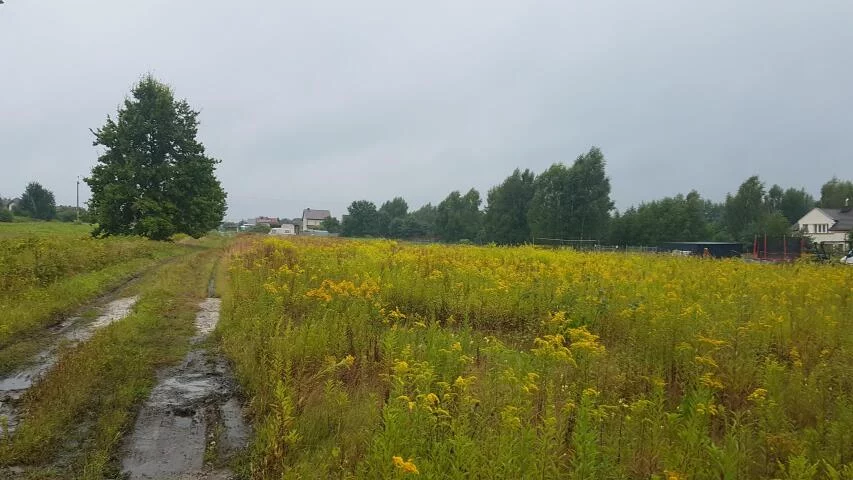Działka 1 298,00 m², oferta nr , 19869, Uwieliny