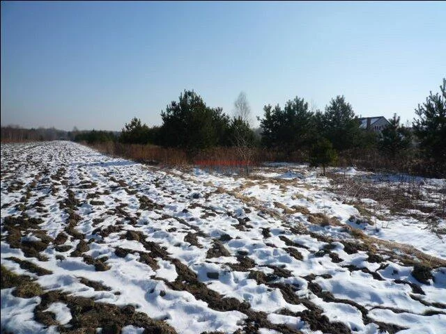 Działka 18 700,00 m², oferta nr , 16649, Żabieniec