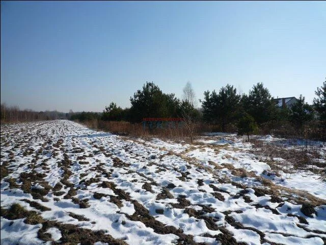 Działka 18 700,00 m², oferta nr , 16649, Żabieniec