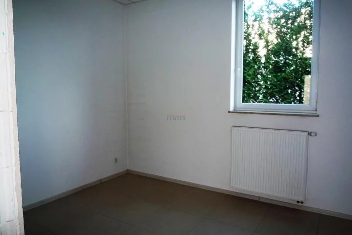19023 - zdjęcie nr 2