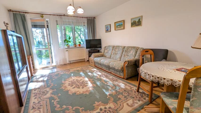 20294 - zdjęcie nr 3