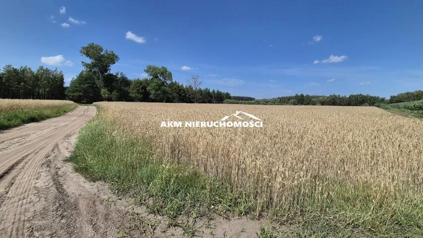 Działka 20 500,00 m², oferta nr , 168, Franciszkowo