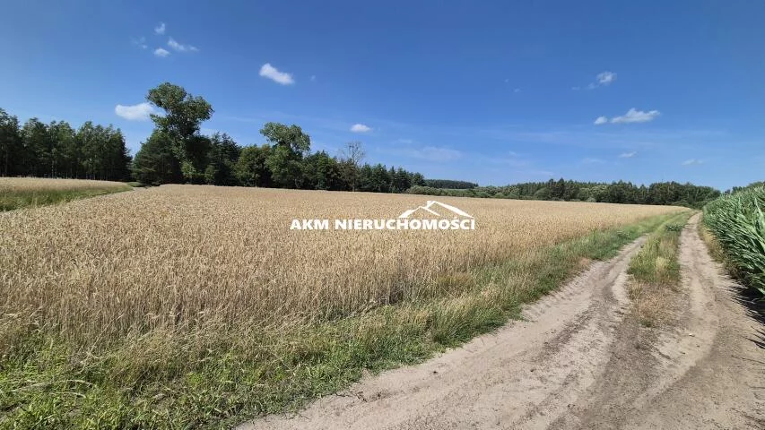 Działka 20 500,00 m², oferta nr , 168, Franciszkowo
