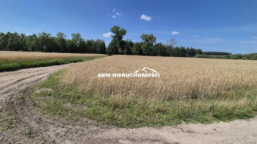 Działka 20 500,00 m², oferta nr , 168, Franciszkowo