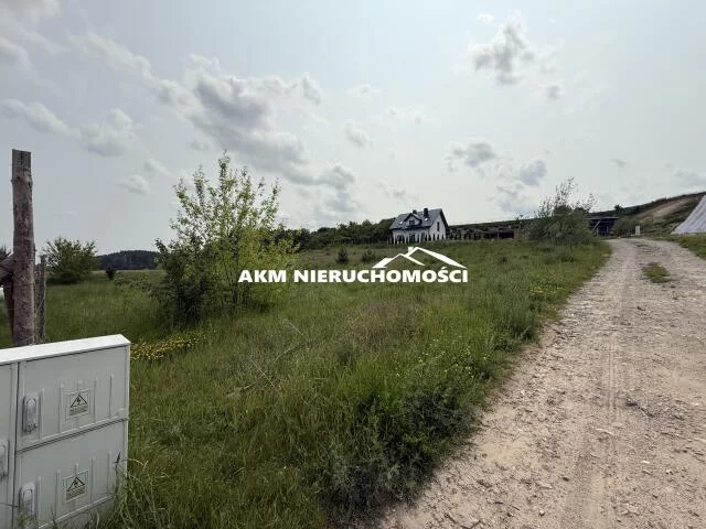 287 - zdjęcie nr 2