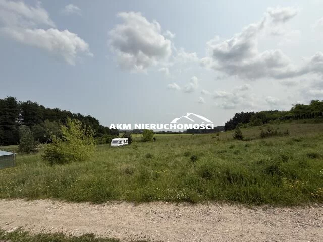 287 - zdjęcie nr 3