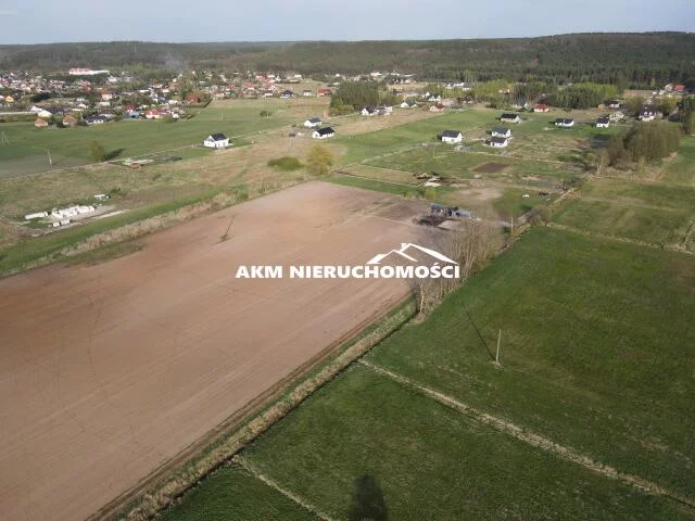 271 - zdjęcie nr 0