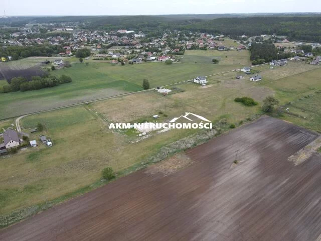 281 - zdjęcie nr 2