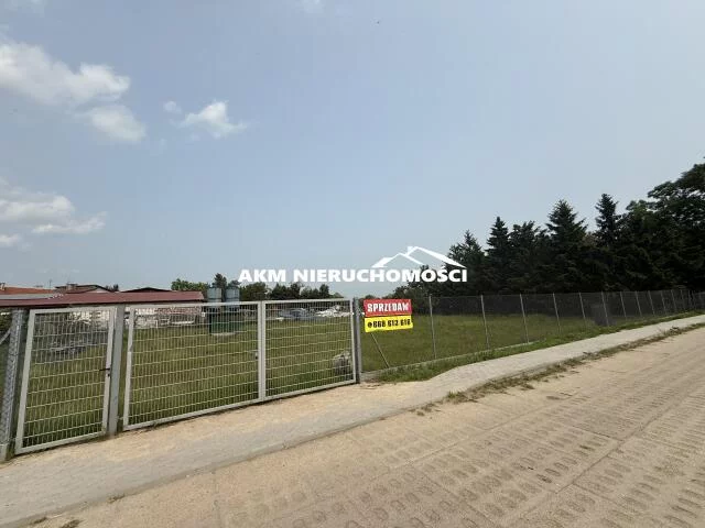 286 - zdjęcie nr 2