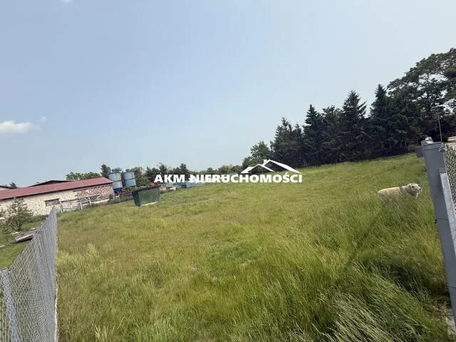 286 - zdjęcie nr 3