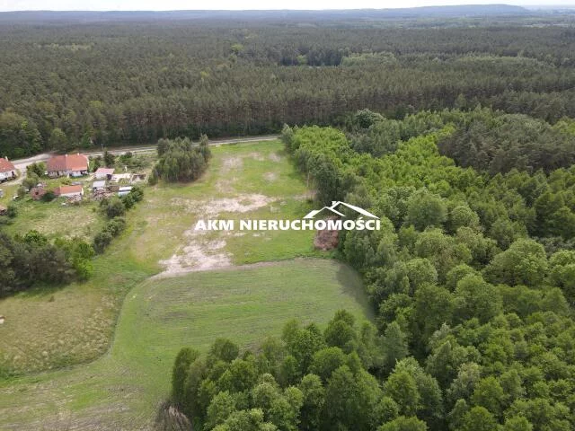 296 - zdjęcie nr 0