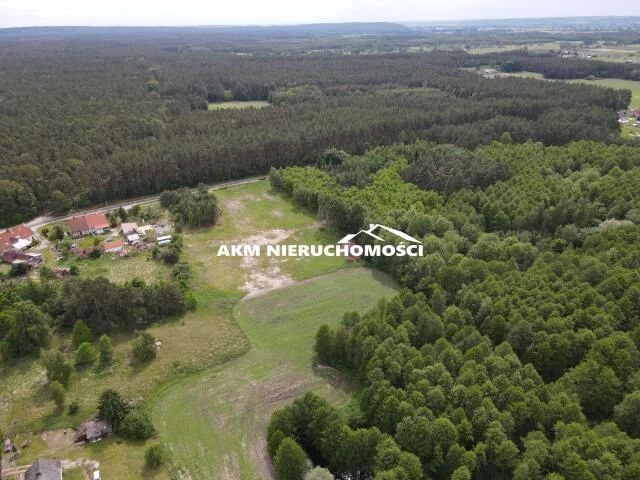 296 - zdjęcie nr 3