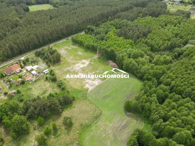 296 - zdjęcie nr 4