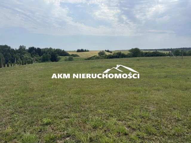 300 - zdjęcie nr 4