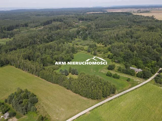 304 - zdjęcie nr 1