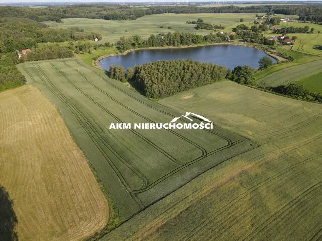 Działka 106 696,00 m², oferta nr , 298, Tulice
