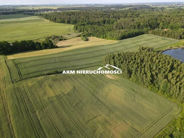 Działka 106 696,00 m², oferta nr , 298, Tulice