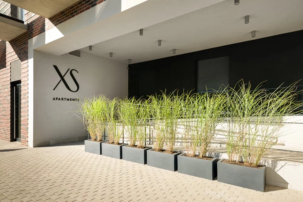 XS Apartments - zdjęcie nr 5