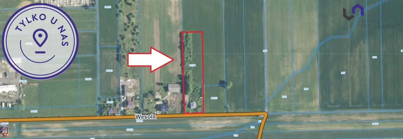 Działka 5 353,00 m², Pilica, Wesoła, Sprzedaż