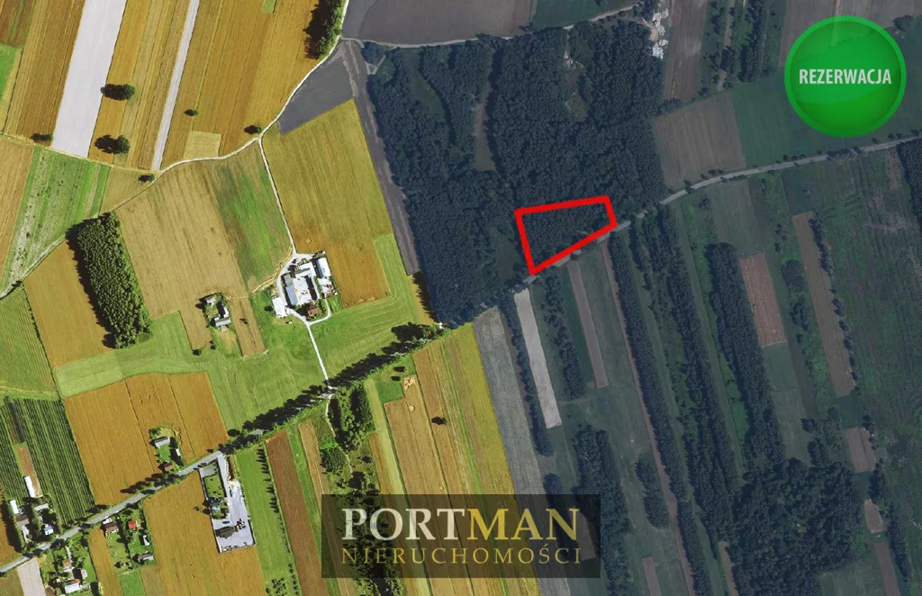 Działka 8 386,00 m², oferta nr , 2492/4857/OGS, Dobrzyniec