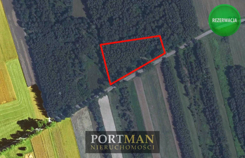 Działka 8 386,00 m², oferta nr , 2492/4857/OGS, Dobrzyniec