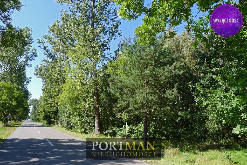 Działka 15 200,00 m², oferta nr , 2493/4857/OGS, Dobrzyniec