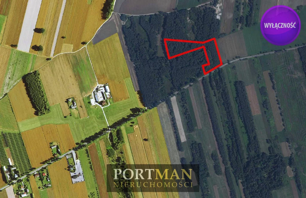 Działka 15 200,00 m², oferta nr , 2493/4857/OGS, Dobrzyniec