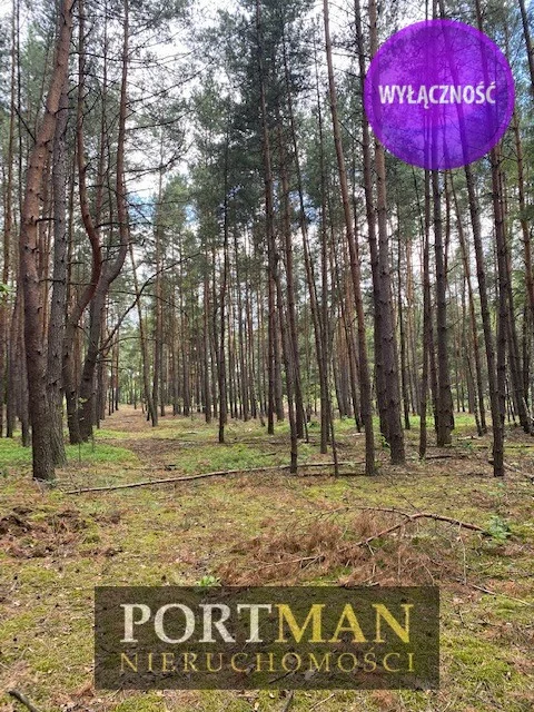 Działka 1 170,00 m², oferta nr , 1700/4857/OGS, Malcanów