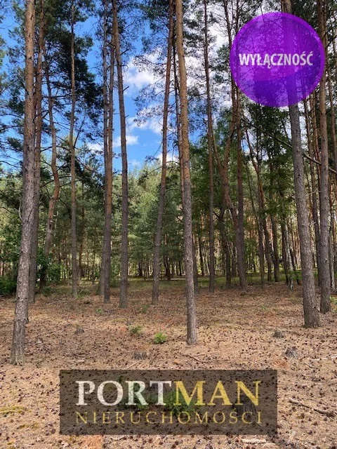 Działka 1 170,00 m², oferta nr , 1700/4857/OGS, Malcanów